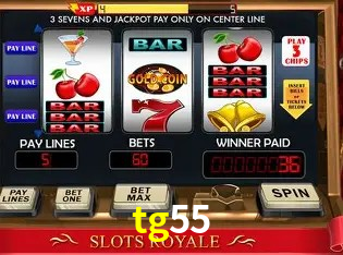 Casino VIP tg55