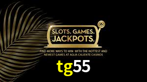 tg55.com